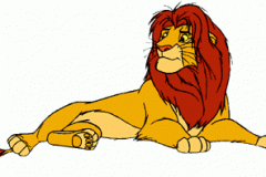 Adult Simba 2
