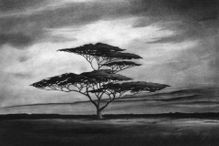 The Pridelands