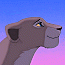 nala13
