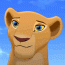 nala17