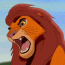simba11