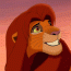 simba12