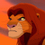 simba17