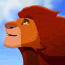 simba18