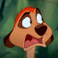 timon10