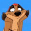 timon15