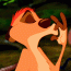 timon7
