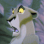 zira