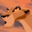 zira15