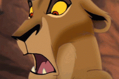 zira17