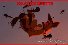 cactusbutt