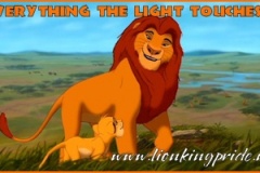 everything