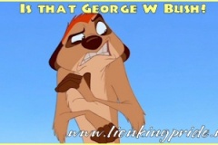 timon