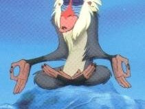 Rafiki meditates