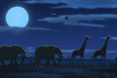 animals