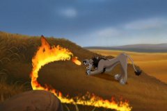fire
