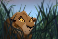 zira