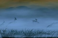 antelope2