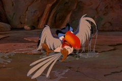 birdiebath