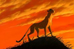 cheetah