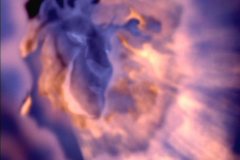 ghost2