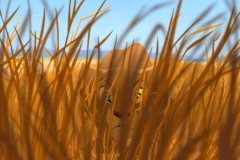 hiding