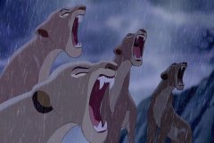 lionesses