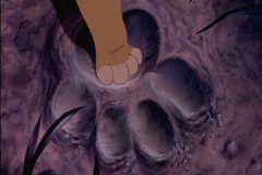 pawprint