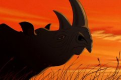 rhino