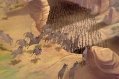 stampede