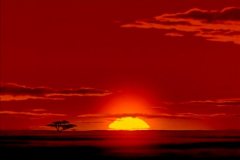 sunrise