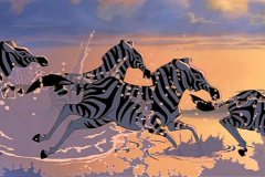 zebras