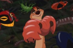 Timon Holding a Grub