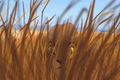 Nala on the prowl