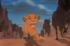 STAMPEDE!!