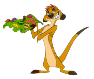 timon