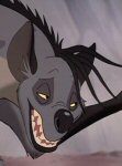 shenzi
